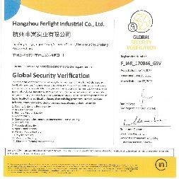 copy of GSV certificate (1)_00